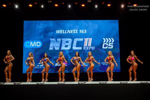 WELLNESS 163